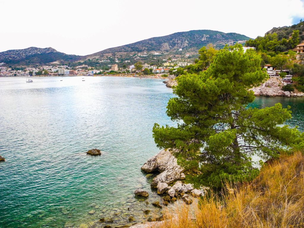 אביב בפלופונס