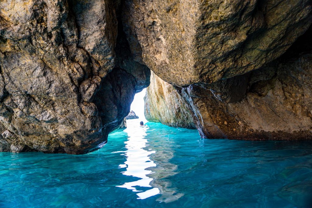 אביב בפלופונס